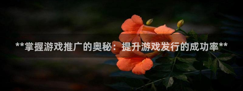 顺盈app