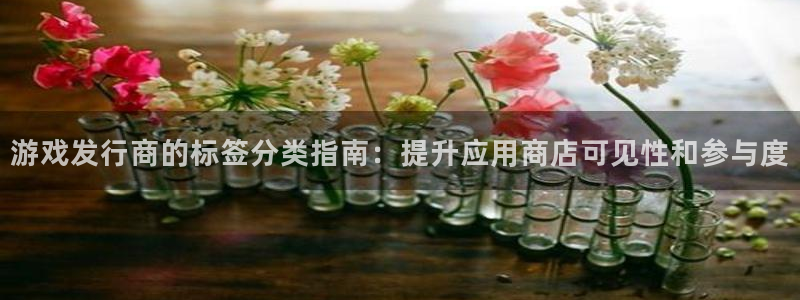 顺盈电子：游戏发行商的标签分类指南：提升应用商店可见性和参与度