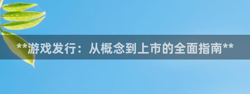 顺盈娱乐案7O777：**游戏发行：从概念到上市的全面指南**