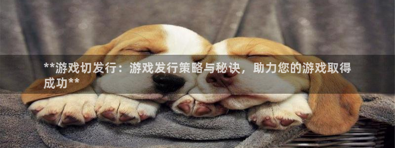 顺盈平台在线注册：**游戏切发行：游戏发行策略与秘诀，助力您的游戏取得
成功**