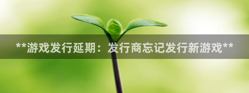顺盈娱乐公司介绍图片高清