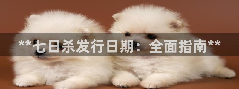 顺盈娱乐公司介绍图片