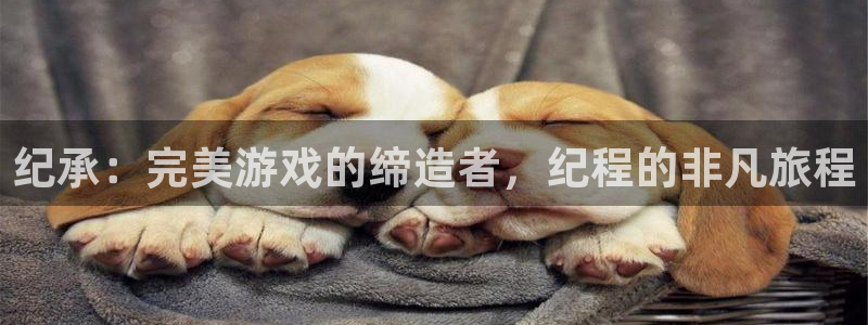 顺盈娱乐官网首页登录入口：纪承：完美游戏的缔造者，纪程的非凡旅程
