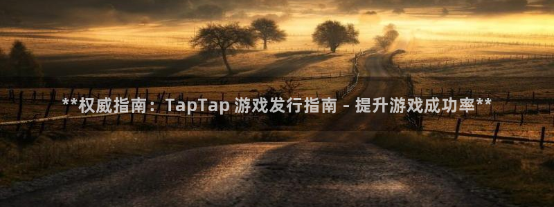 顺盈娱乐官网首页网址查询：**权威指南：TapTap 游戏发行指南 - 提升游戏成功率**