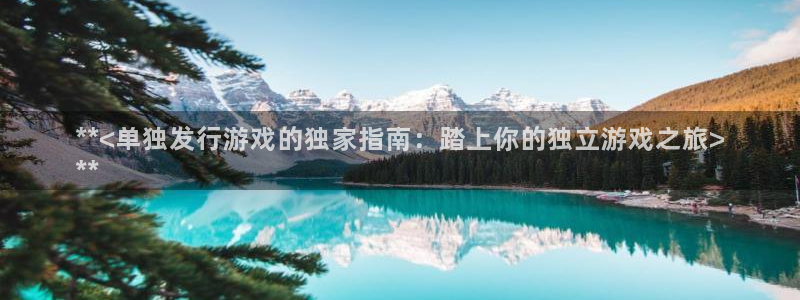 顺盈娱乐平台：**<单独发行游戏的独家指南：踏上你的独立游戏之旅>
**
