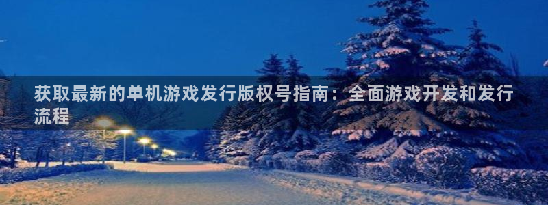 顺盈电子有限公司：获取最新的单机游戏发行版权号指南：全面游戏开发和发行
流程