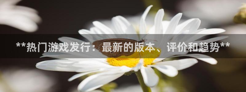 顺盈娱乐用什么加速器可以登录账号：**热门游戏发行：最新的版本、评价和趋势**