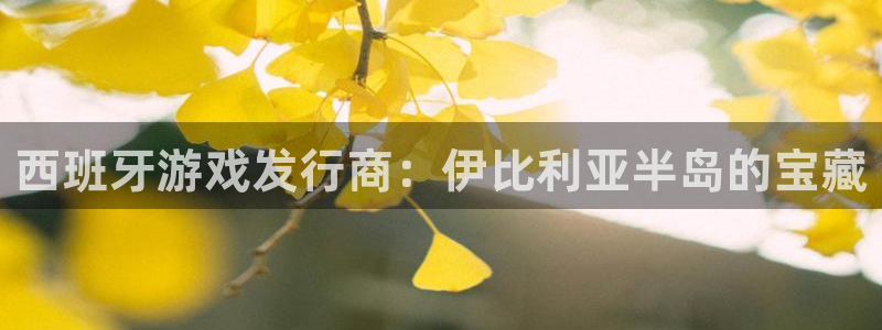 顺盈娱乐平台注册流程：西班牙游戏发行商：伊比利亚半岛的宝藏