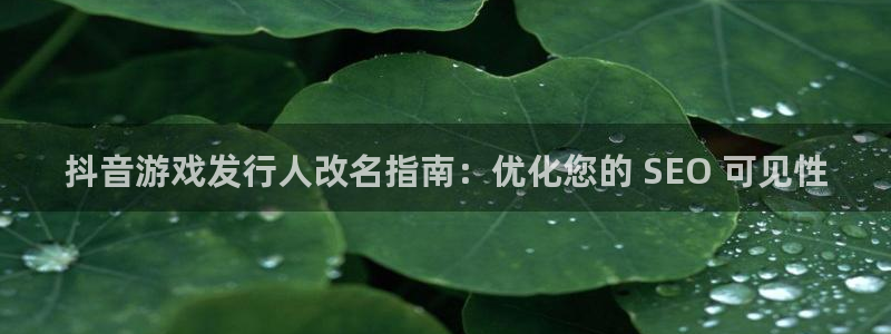 顺盈娱乐登录平台下载：抖音游戏发行人改名指南：优化您的 SEO 可见性