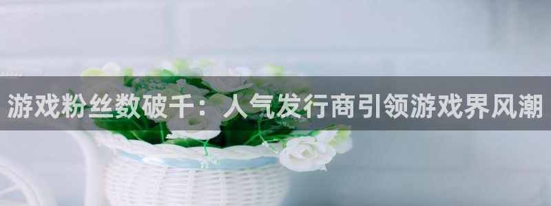 顺盈平台登陆地址：游戏粉丝数破千：人气发行商引领游戏界风潮