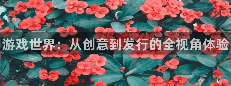 顺盈娱乐平台注册流程