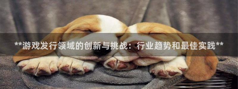 顺盈娱乐：**游戏发行领域的创新与挑战：行业趋势和最佳实践**