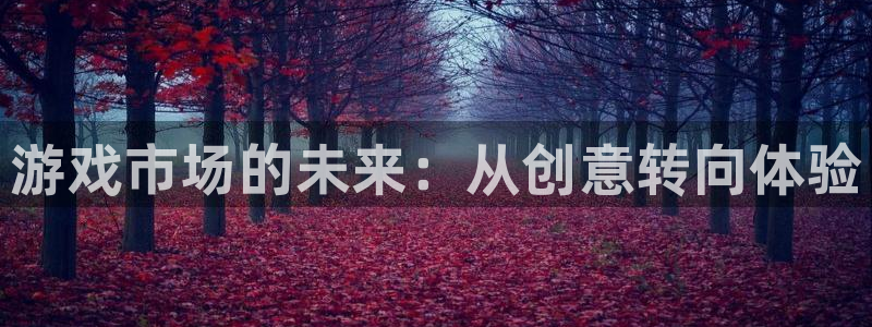 顺盈娱乐用什么加速器可以登录账号呢