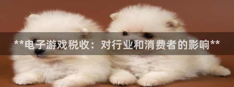 顺盈娱乐平台注册流程图片高清：**电子游戏税收：对行业和消费者的影响**