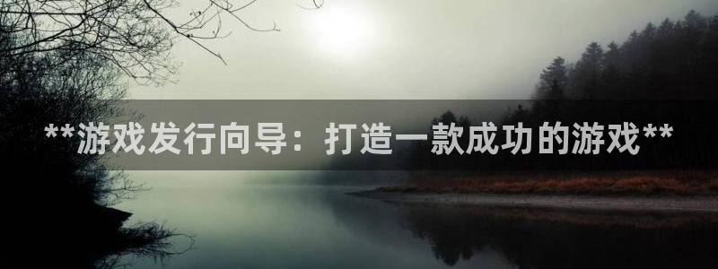 顺盈平台怎么注册：**游戏发行向导：打造一款成功的游戏**