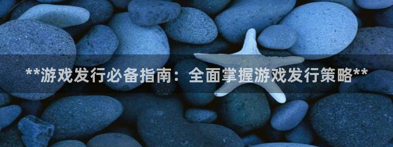 顺盈平台登录入口：**游戏发行必备指南：全面掌握游戏发行策略**