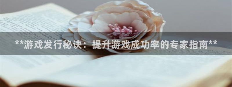 顺盈娱乐公司介绍怎么写：**游戏发行秘诀：提升游戏成功率的专家指南**