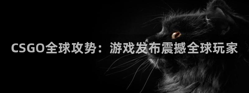 顺盈娱乐用什么加速器可以登录账号和密码：CSGO全球攻势：游戏发布震撼全球玩家