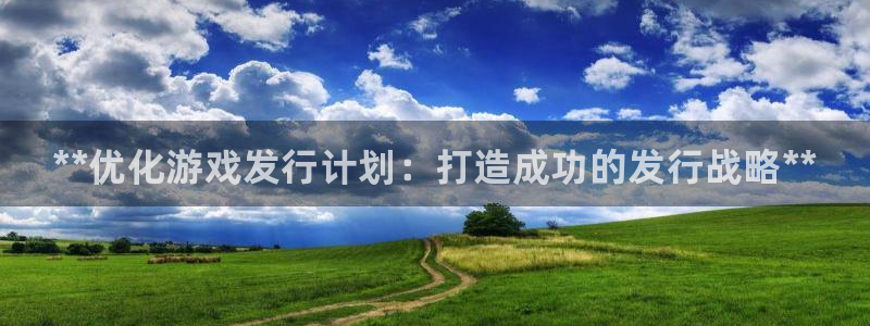 顺盈娱乐的员工待遇怎么样知乎：**优化游戏发行计划：打造成功的发行战略**