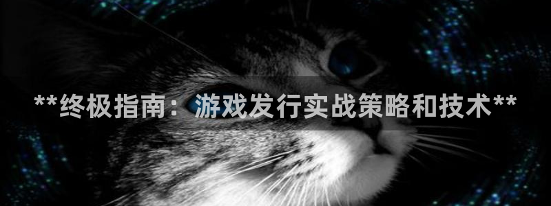 顺盈娱乐登录平台是什么意思啊：**终极指南：游戏发行实战策略和技术**