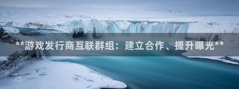 顺盈网络科技有限公司怎么样：**游戏发行商互联群组：建立合作、提升曝光**