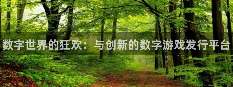顺盈平台注册网址：数字世界的狂欢：与创新的数字游戏发行平台