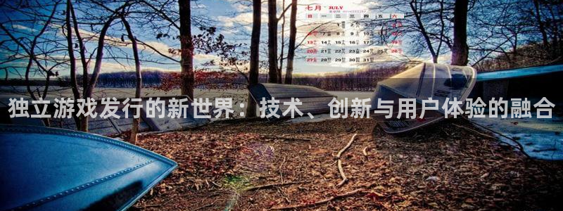 顺盈平台怎么样可靠吗：独立游戏发行的新世界：技术、创新与用户体验的融合