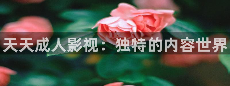 小小影视vip：天天成人影视：独特的内容世界