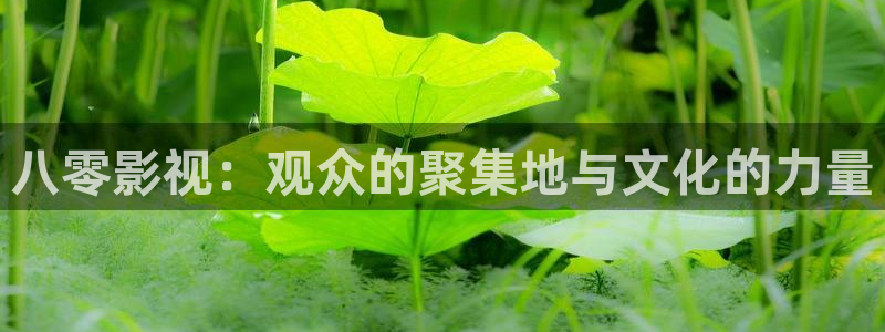 小小影视ap：八零影视：观众的聚集地与文化的力量