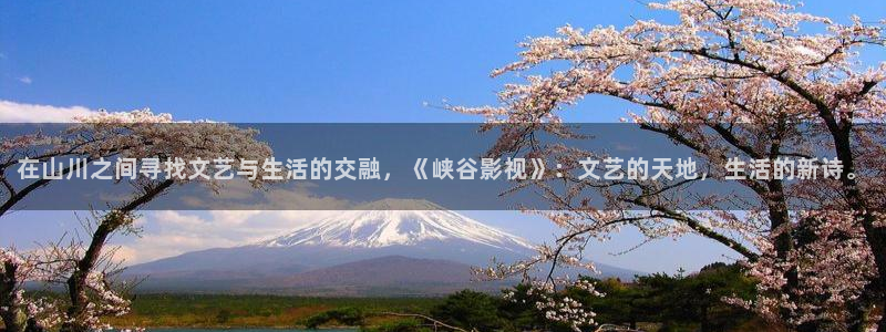 小小影院免费高清电视剧大全：在山川之间寻找文艺与生活的交融，《峡谷影视》：文艺的天地，生活的新诗。
