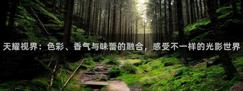 小小影视大全：天耀视界：色彩、香气与味蕾的融合，感受不一样的光影世界