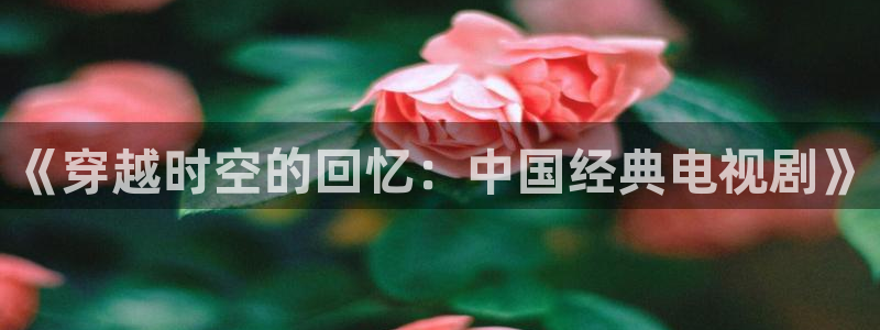 小小影视大全在线：《穿越时空的回忆：中国经典电视剧》