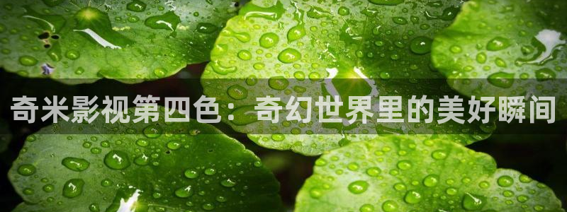小小影视软件免费下载：奇米影视第四色：奇幻世界里的美好瞬间