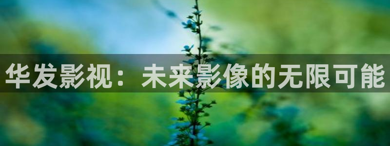 小小影视最新版下载：华发影视：未来影像的无限可能