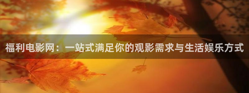 小小影城：福利电影网：一站式满足你的观影需求与生活娱乐方式