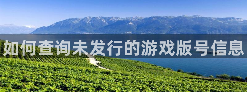 顺盈娱乐公司介绍图片：如何查询未发行的游戏版号信息